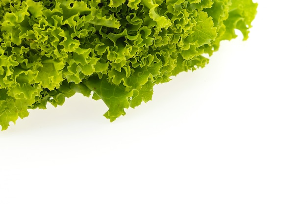 Free photo green lettuce