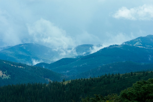 Free photo green mountain forest landscape