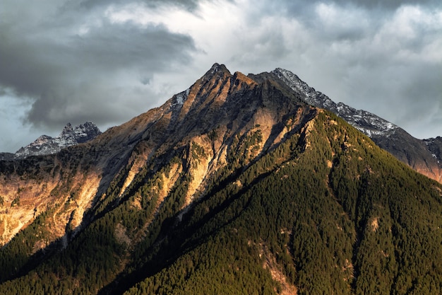 Green Mountain Landscape