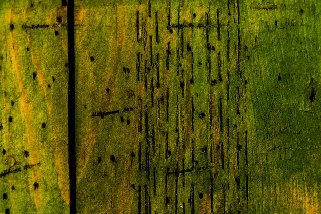 Free photo green old wood texture background and copy space