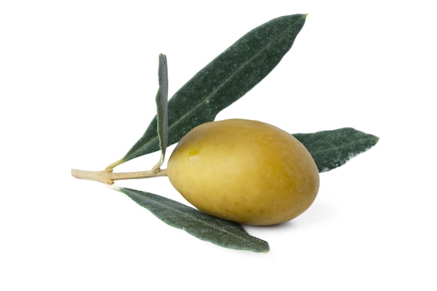 Free photo green olives with leaves isolated on white background