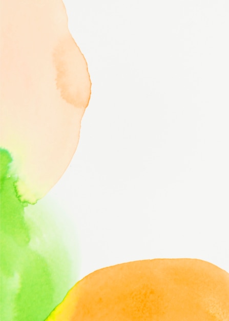 Free Photo green and orange watercolor spot on white backdrop