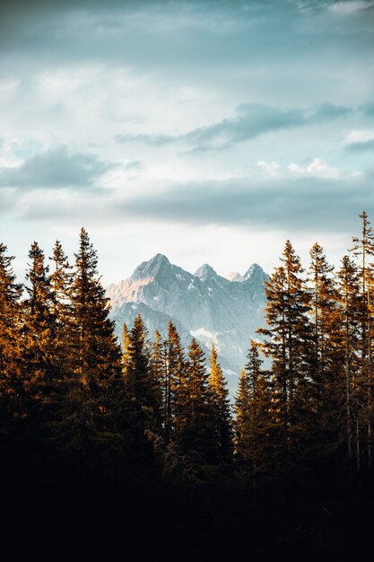 Green pine trees near snow covered mountain under cloudy sky during daytime