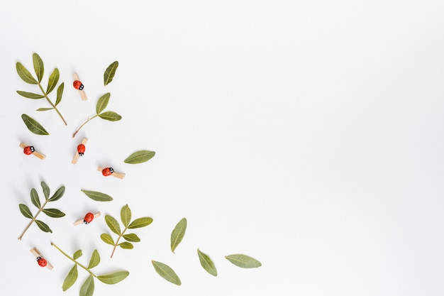 Free photo green plant branches scattered on white table