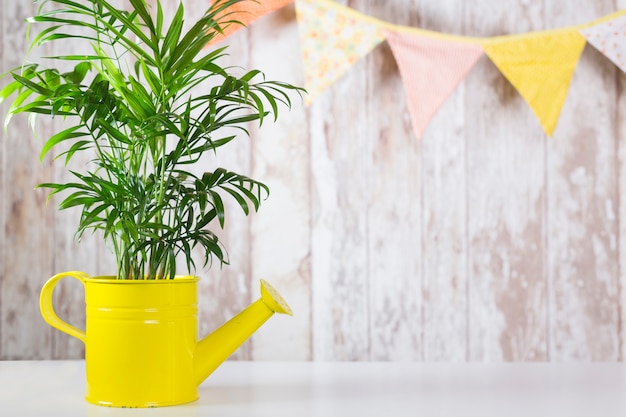 Green plant in watering pot against wall