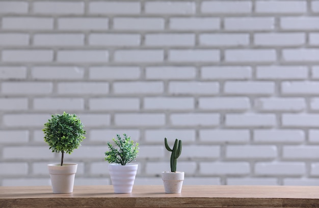 Free photo green pot on the wood table with white wall.