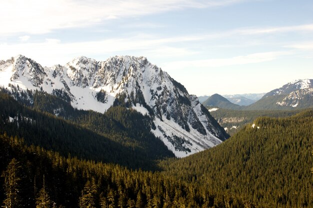 green scenery surrounded by snowy mountains