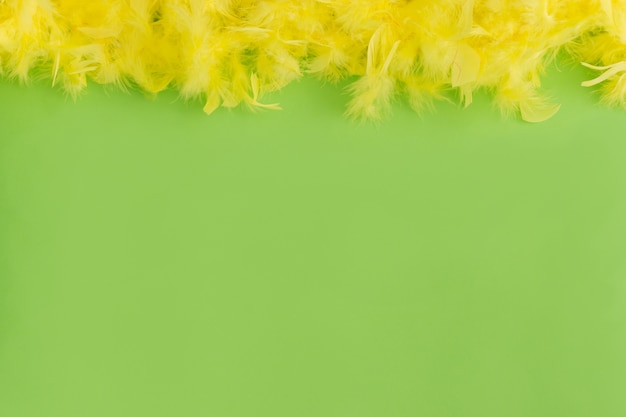 Free photo green table with yellow feathers on top