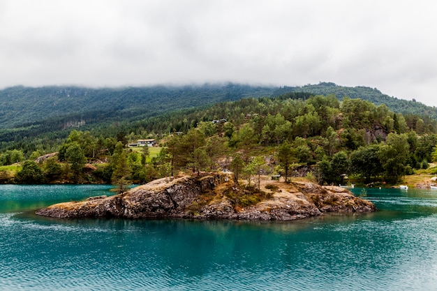 Green trees over hill on the blue lake