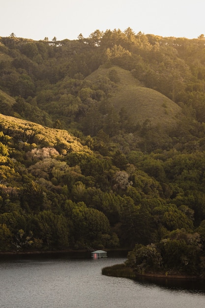 Free photo green trees on mountain during daytime