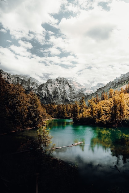 Free photo green trees near lake and mountain under white clouds during daytime