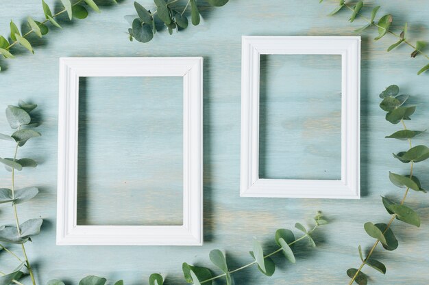 Green twig leaves around the white border frame on blue texture background