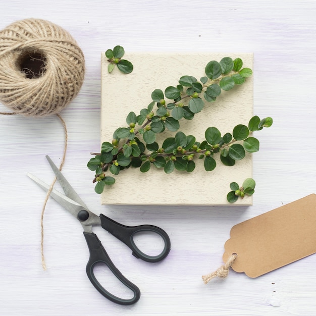 Free Photo green twig with berries; tag; scissor; and string spool on wooden textured background