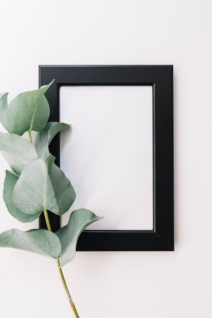 Free photo green twig with blank border frame on white background