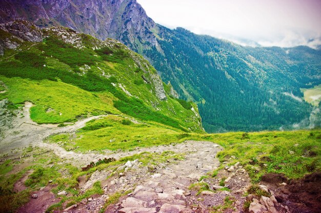 Green valley between mountains