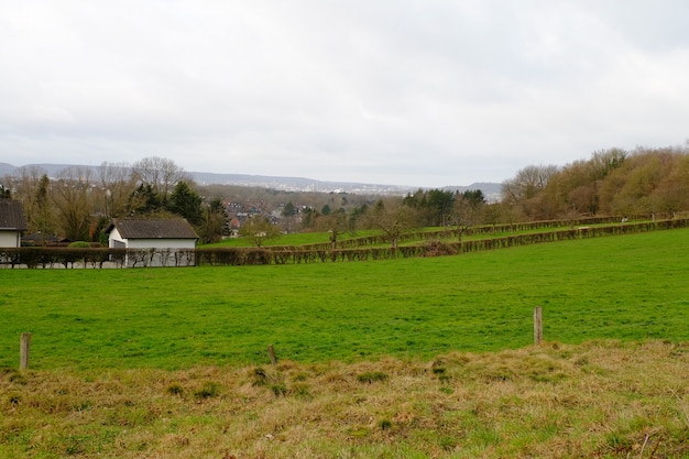 Free photo green valley with trees and a clear sky on the background