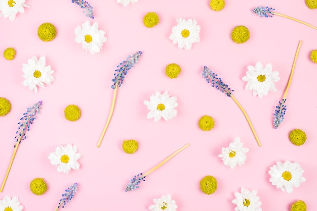 Green; white and purple flowers on pink background