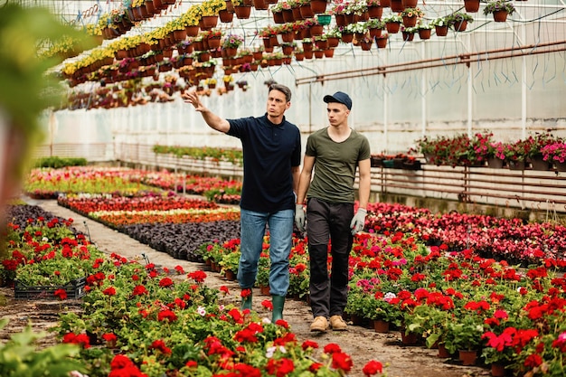 Greenhouse owner and his employee communicating while walking and examining flowers