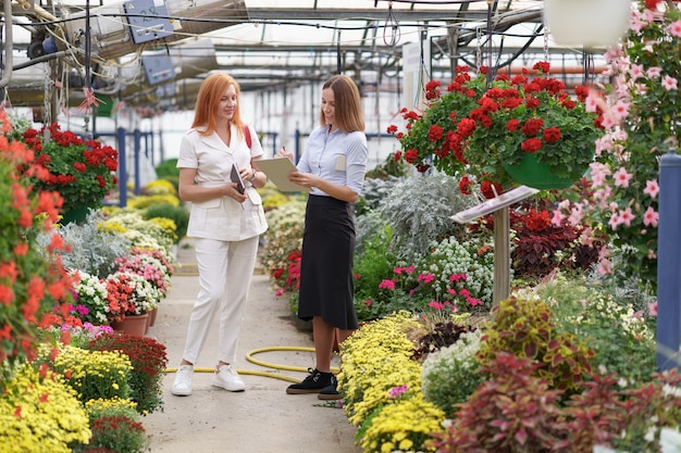 Greenhouse owner presenting flowers options to a potential customer retailer.