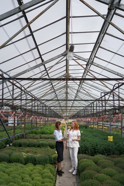 Greenhouse owner presenting flowers options to a potential customer retailer.