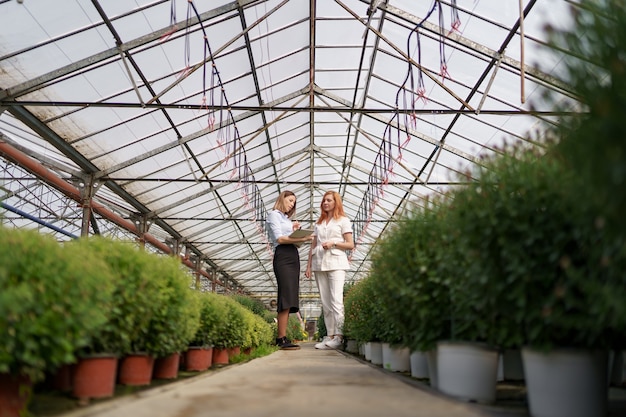 Free Photo greenhouse owner presenting flowers options to a potential customer retailer.