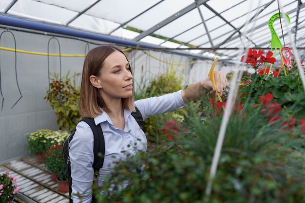 Greenhouse owner watching the flowers harvest with care