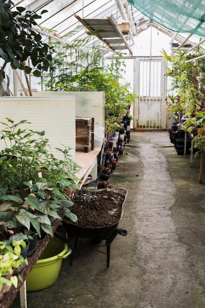 Free photo greenhouse still life