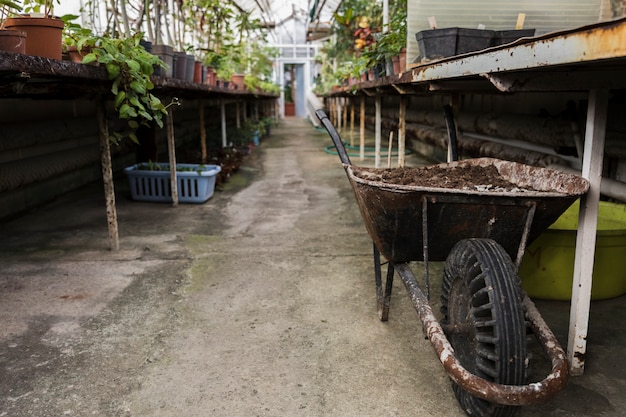 Free Photo greenhouse still life