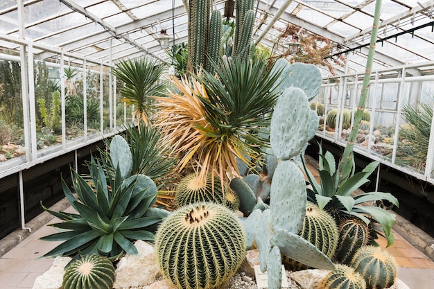 Greenhouse still life