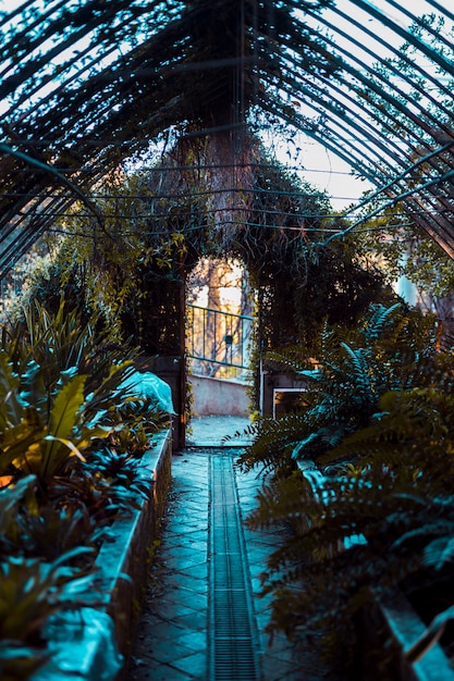 Greenhouse with botanical plants