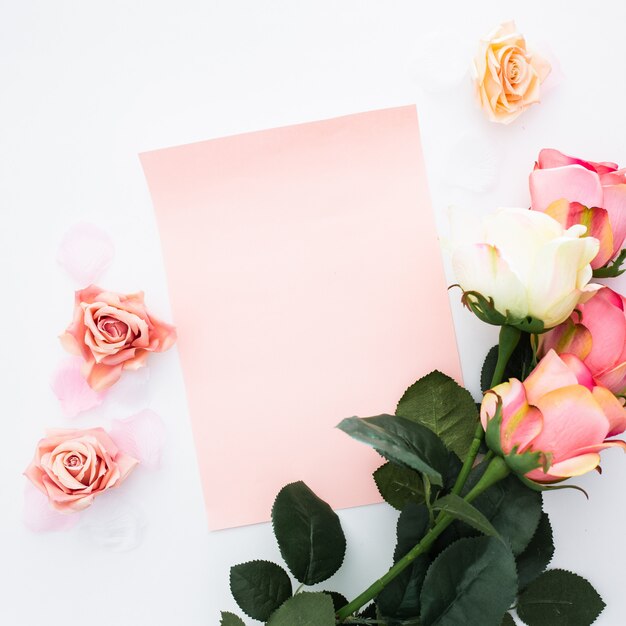 Greeting card with roses and petals on white