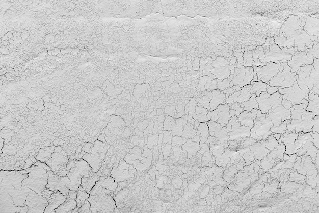 Free Photo grey lime plaster with cracks background