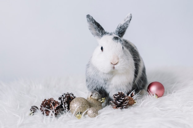 Free photo grey rabbit with small shiny baubles