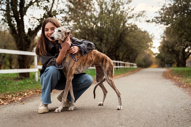 Greyhound dog  enjoying his walk