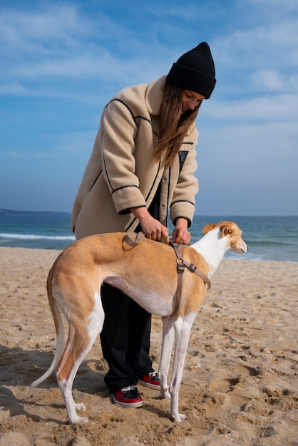 Free photo greyhound dog with female owner at the beach