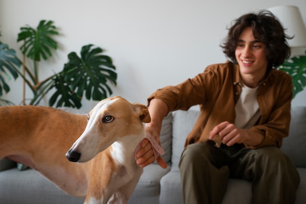 Free Photo greyhound dog with male owner at home on couch