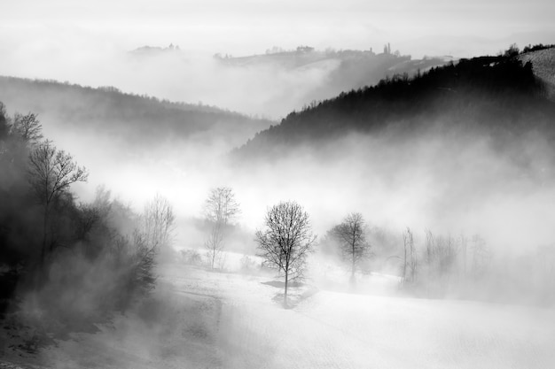 Free photo greyscale of hills covered in forests and fog under a cloudy sky in the langhe in italy