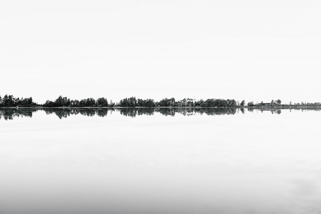 Greyscale shoot of a range of trees reflecting in the water