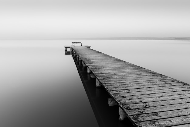 Free Photo greyscale shot of a wooden dog near the sea with fog