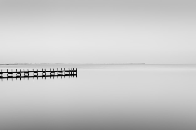 Greyscale shot of a wooden dog near the sea with a foggy background