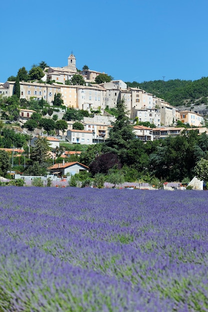 Free photo grignan town france