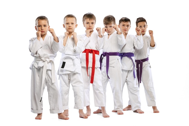 Group of boys children martial art sportsmen posing in kimono isolated over white studio background