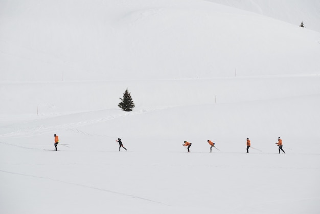 Group of cross country skiers training on a ski resort