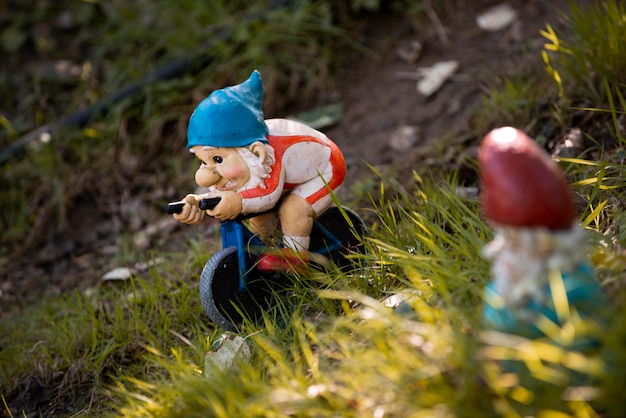 Free photo group of different funny garden gnomes