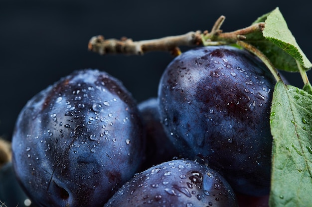 Free Photo group of fresh plums on black.