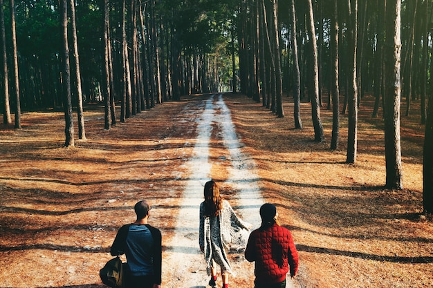 Free photo group of friends travel in the forest together