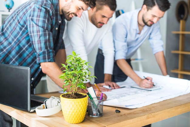 Free photo group of male architect working on blueprint with pot plant on desk