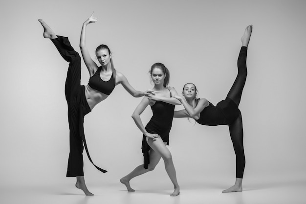 Free photo group of modern ballet dancers