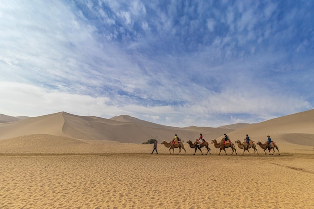 Free Photo group of people on the camels in the desert