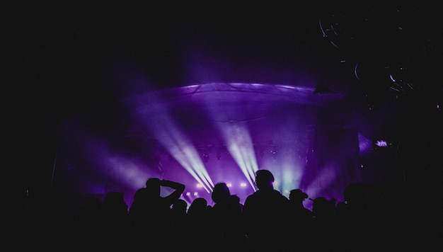 Group of people near stage at concert